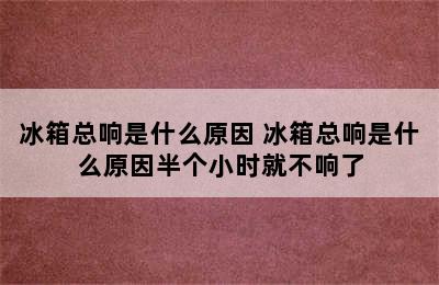 冰箱总响是什么原因 冰箱总响是什么原因半个小时就不响了